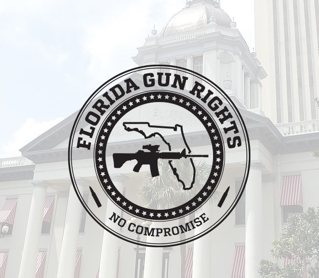 Florida Gun Rights