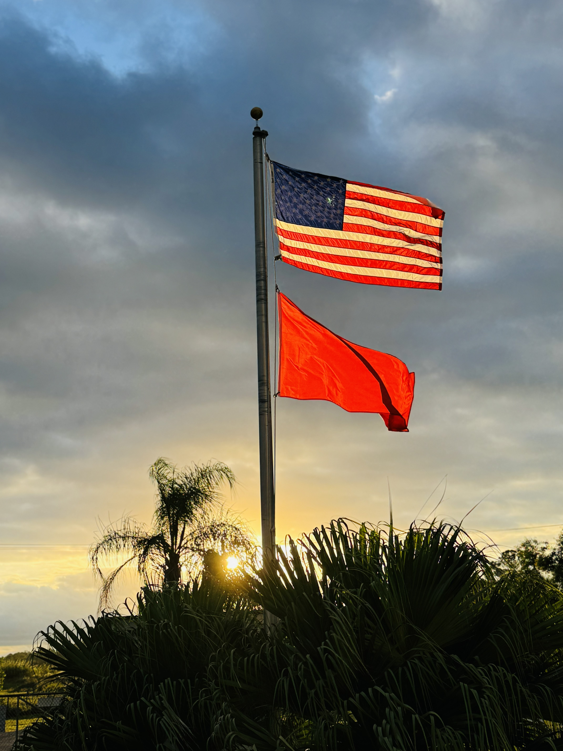 MCSA flag